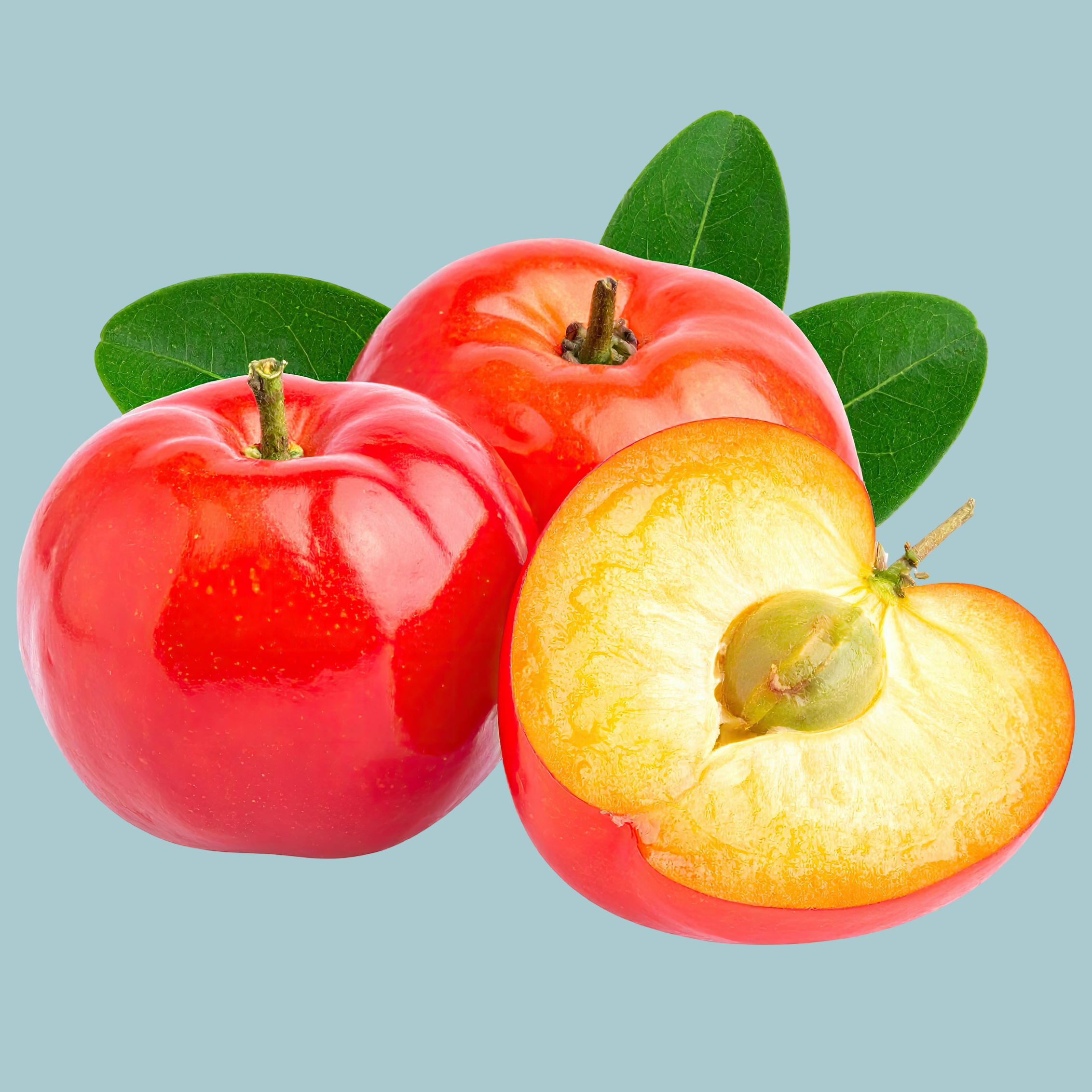 Acerola Extract