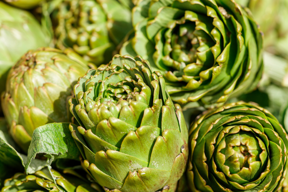 Close-up of artichokes.