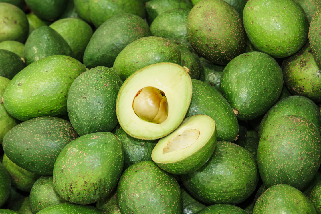 A pile of whole green avocados with one cut in half, showing the pit and bright green flesh, representing the low purine food discussed for a gout diet.