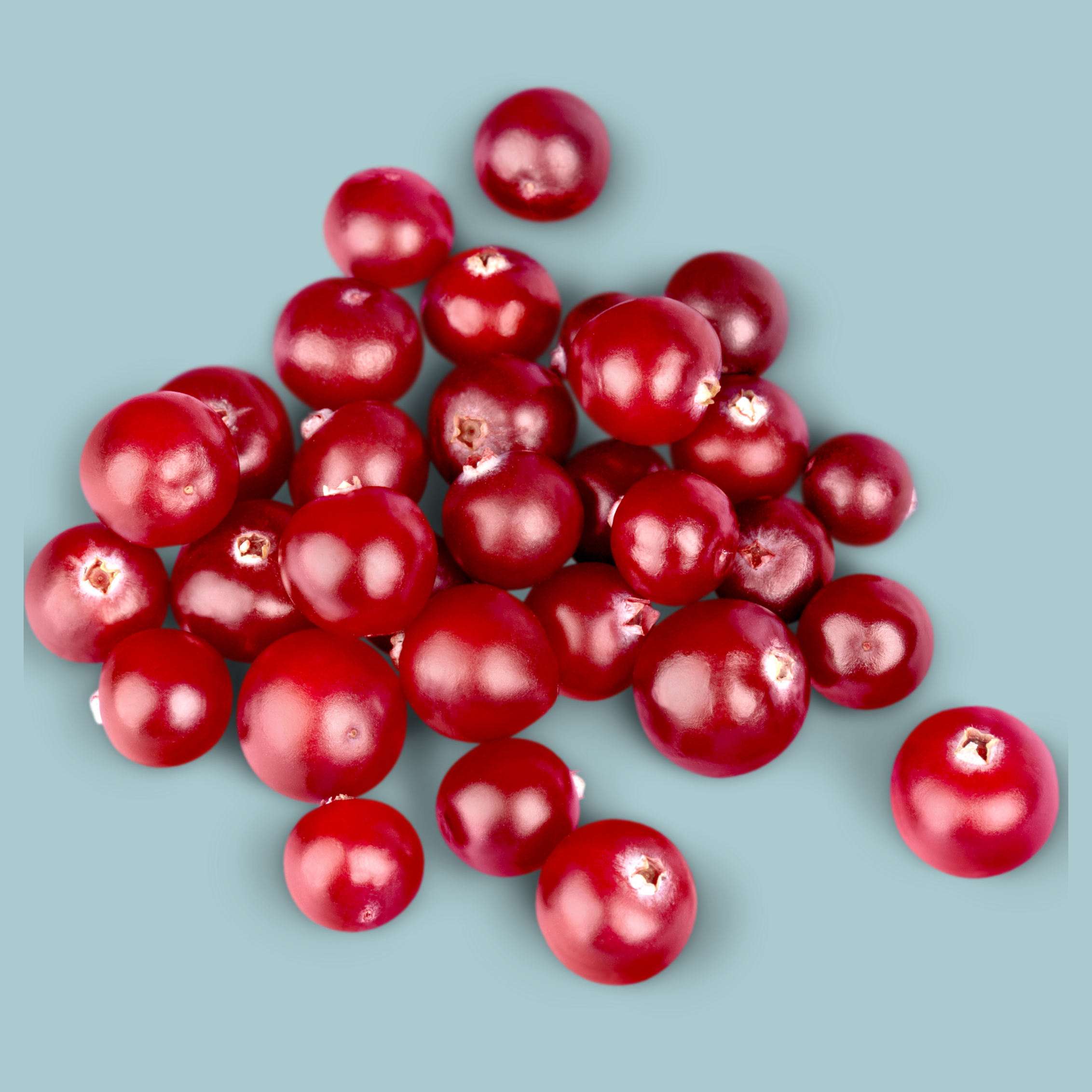 Cranberry Concentrate