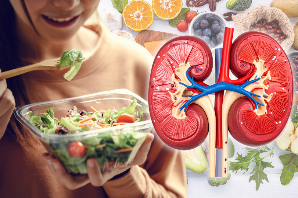 Person eating salad beside kidney illustration