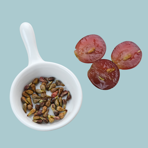 Grape Seed Extract