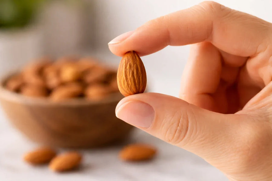 A hand holding an almond.