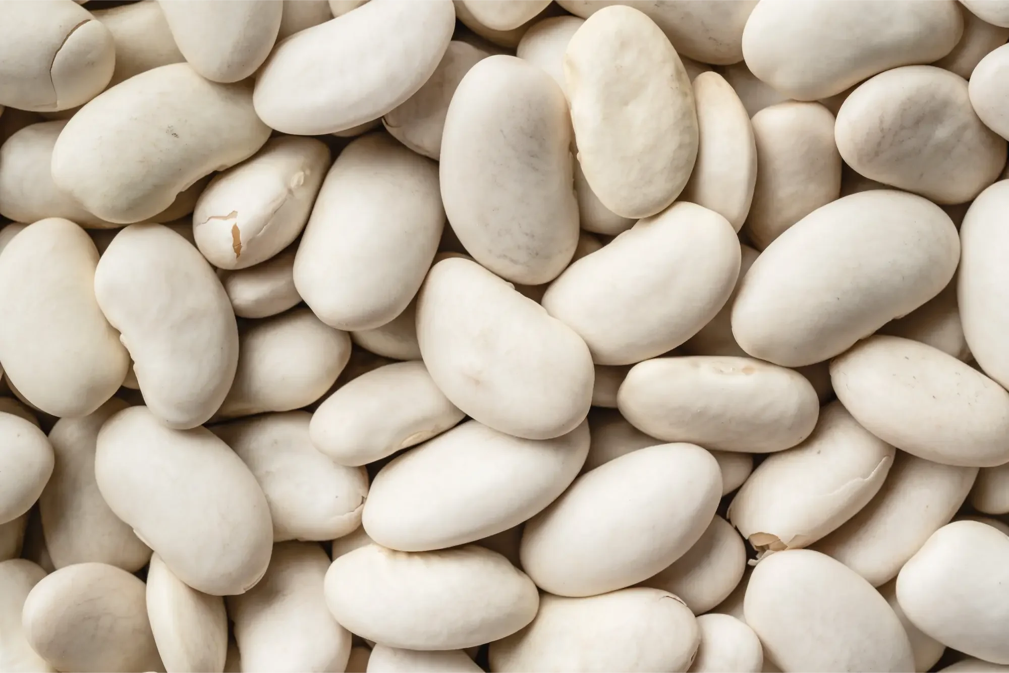 Are Beans Bad For Gout?