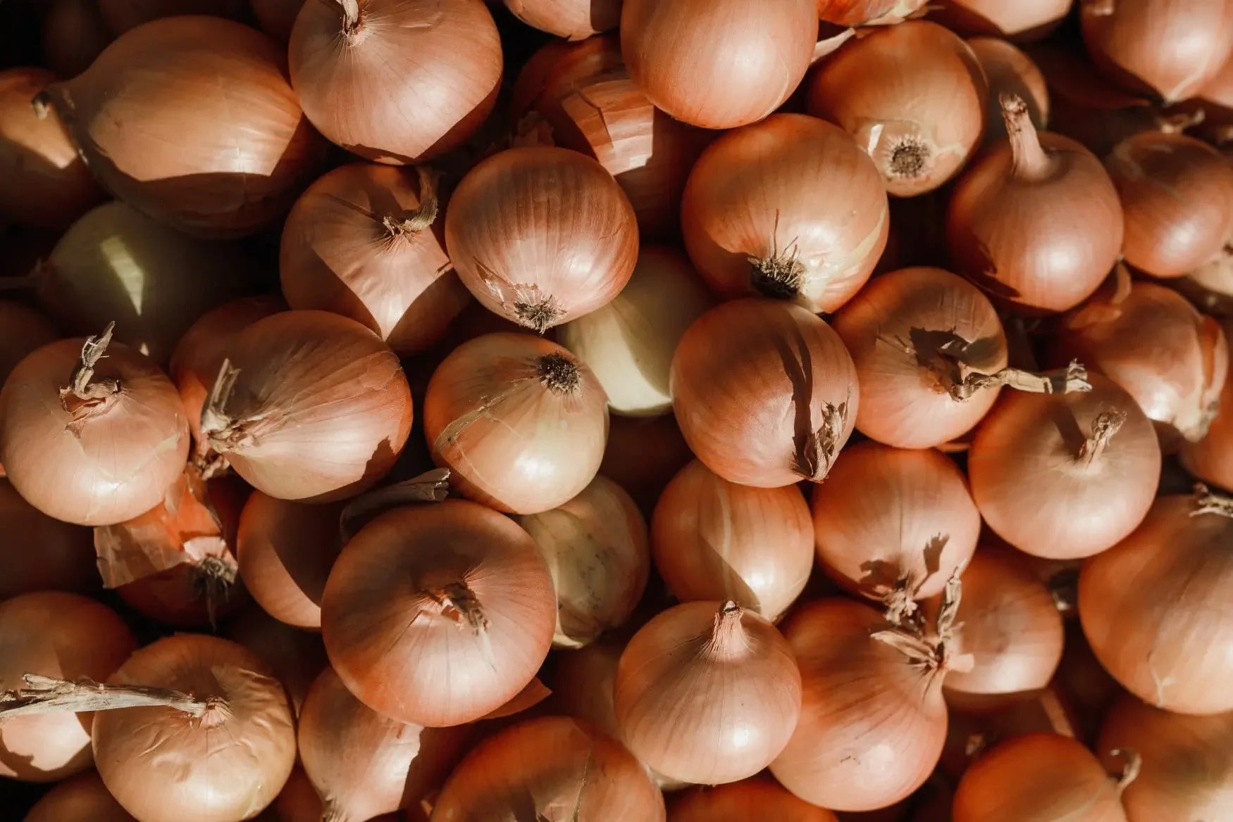 An image of onions.