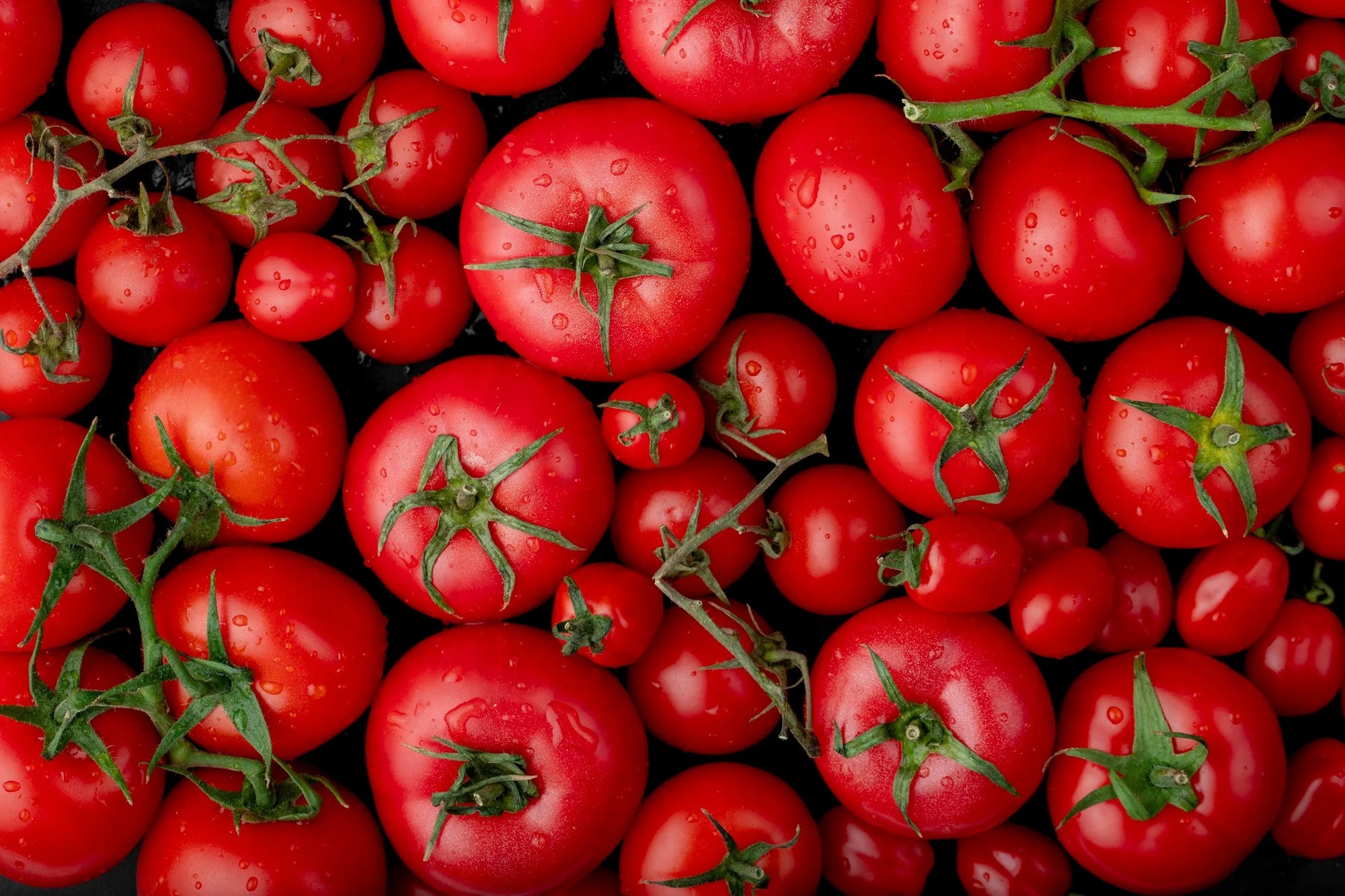 A bunch of tomatoes.