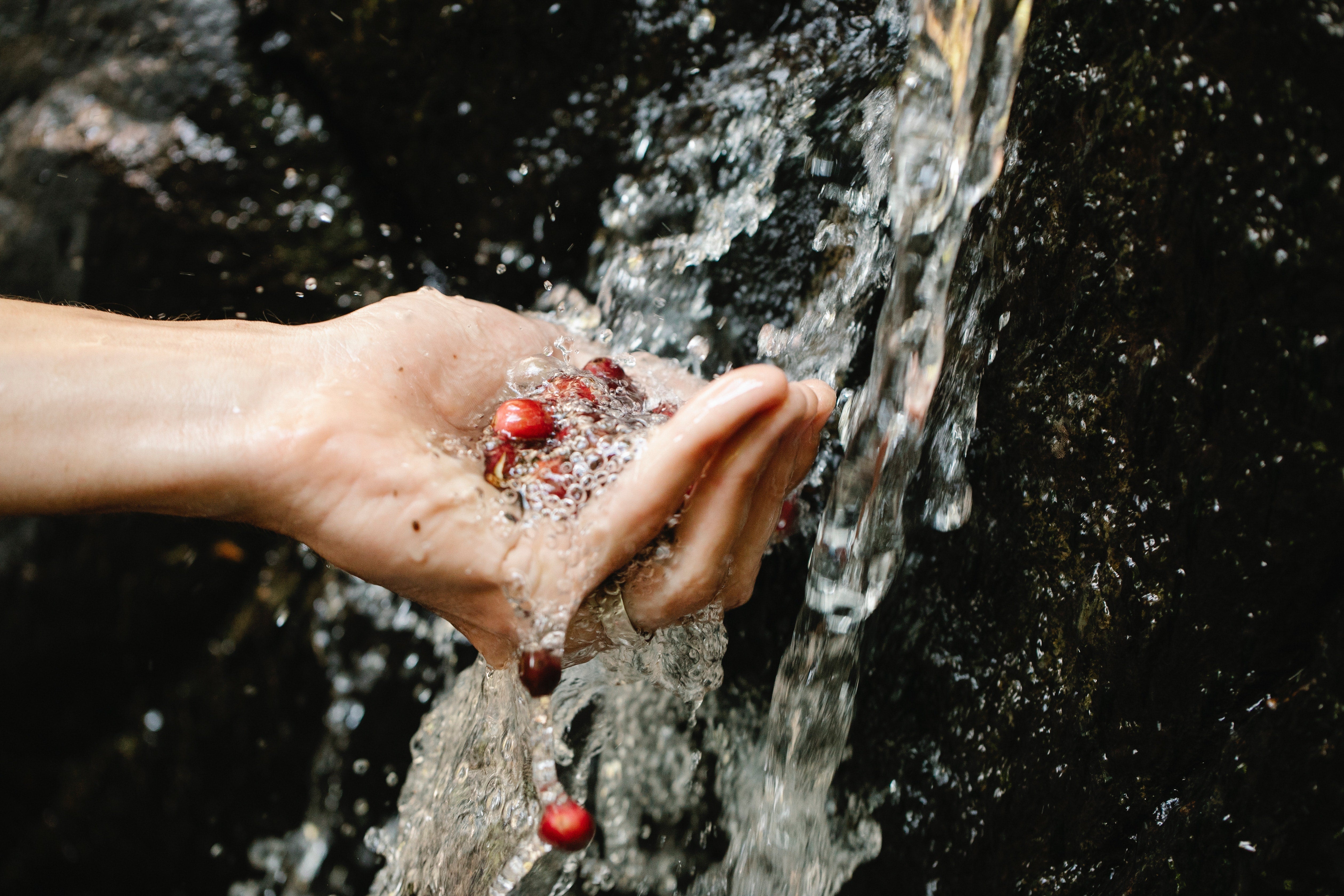 distilled water and kidney