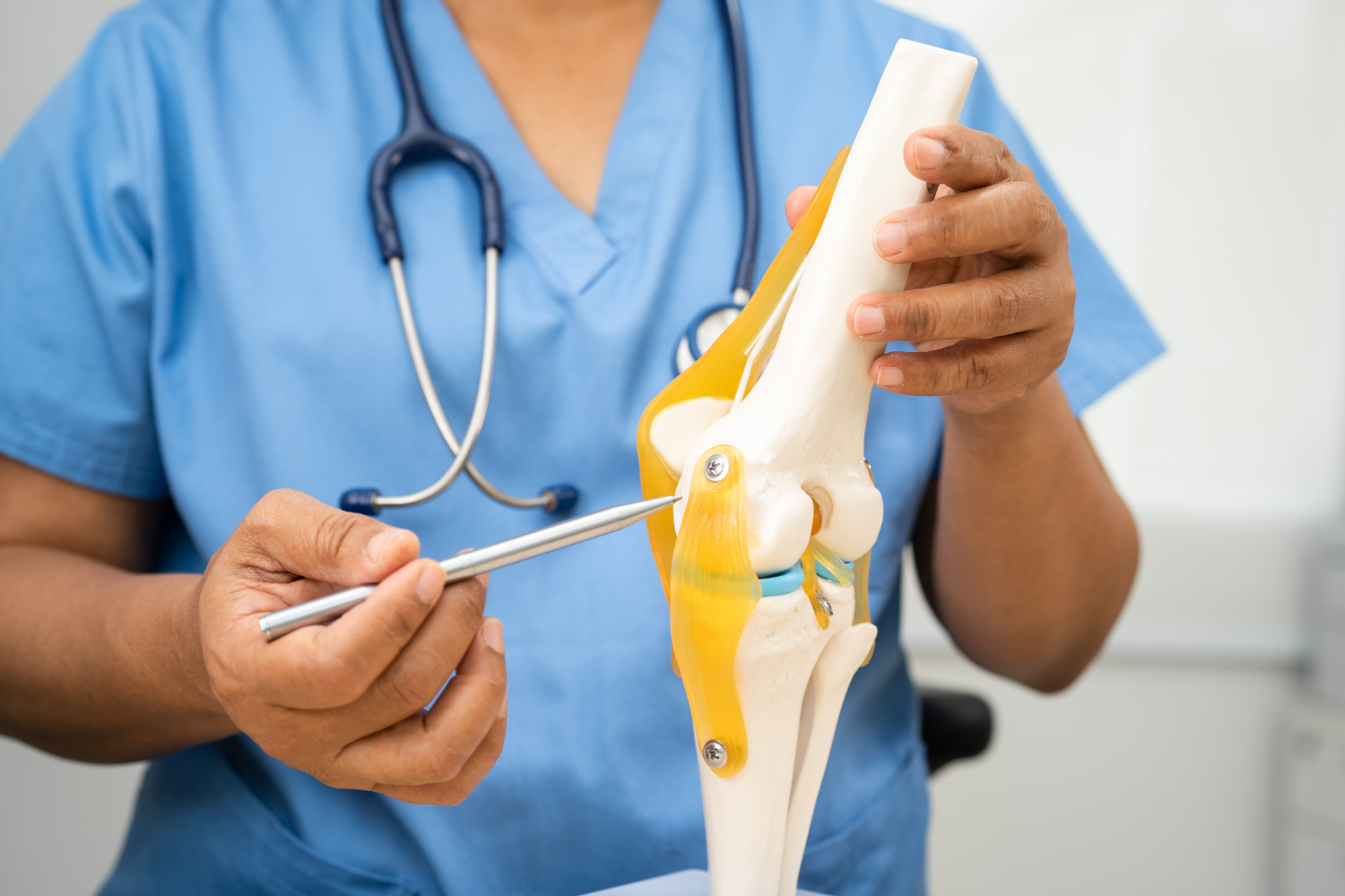 A healthcare professional holding and pointing at a knee model.