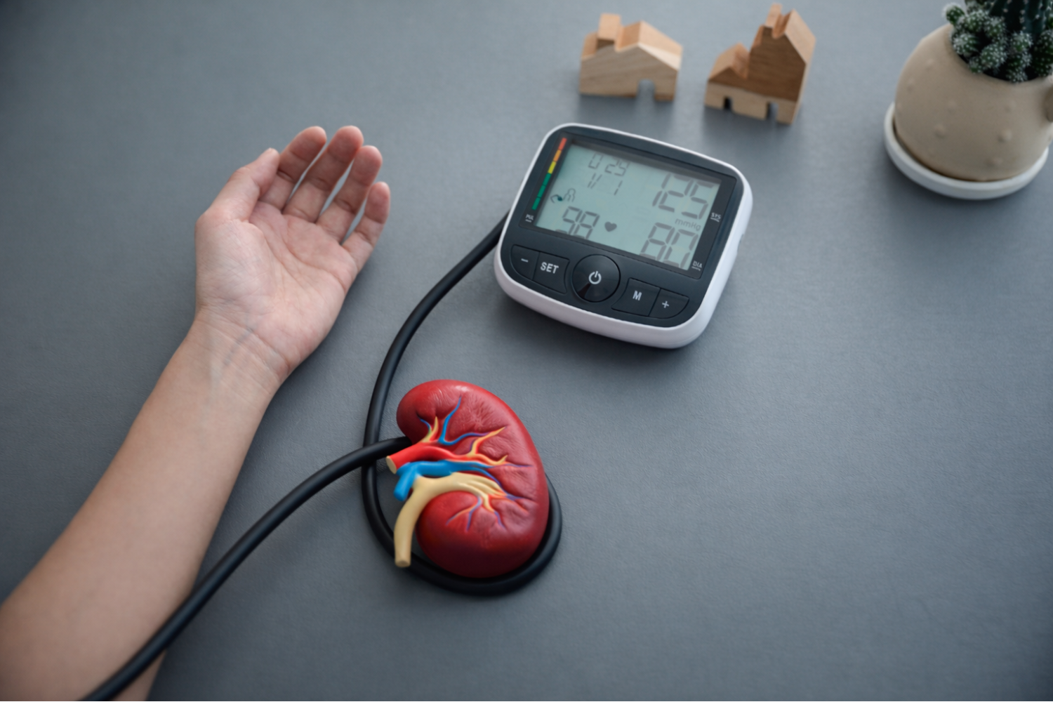 A blood pressure monitor is connected to a model of a kidney and a person's arm, displaying readings of 125/80 and 98 bpm.