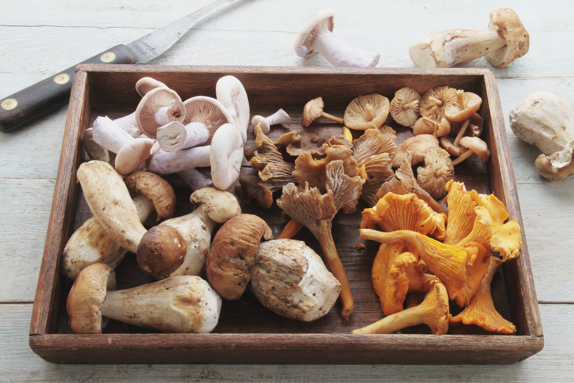 Variety of fresh mushrooms in a wooden tray, mushrooms and gout friendly foods