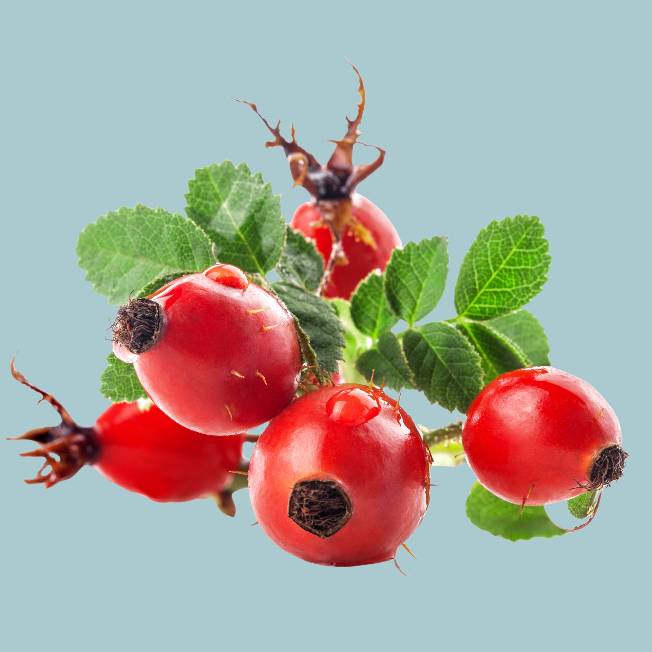 Organic Rose Hips