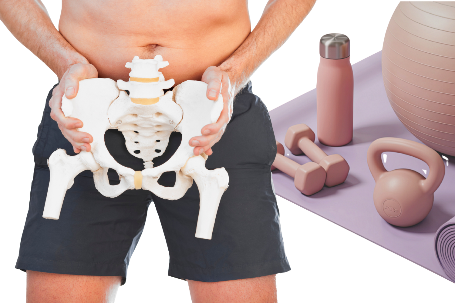 A person is holding a model of a human pelvis in front of their body.