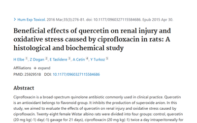 Quercetin and Ciprofloxacin: Rat Study on Kidney Oxidative Stress