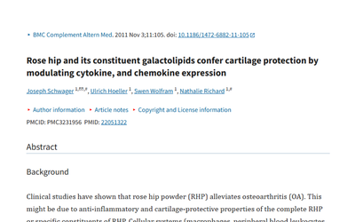 How Rose Hip Extracts Protect Red Blood Cells From Oxidative Stress