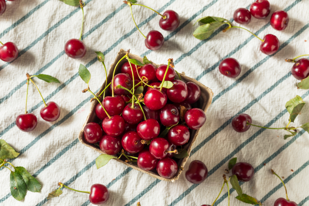 Bunch of cherries on a square bowl.