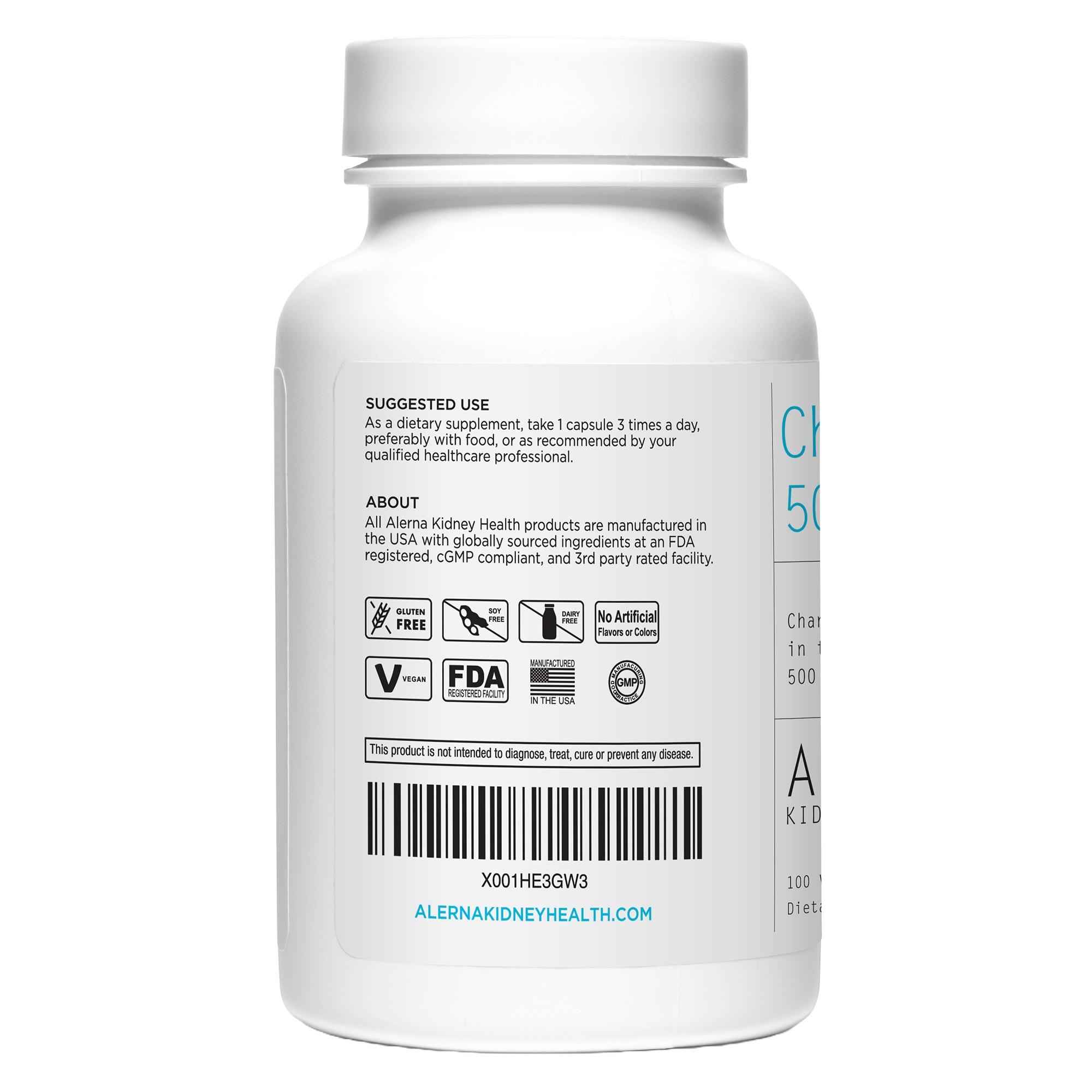 Chanca Piedra - 100 Vegetarian Capsules